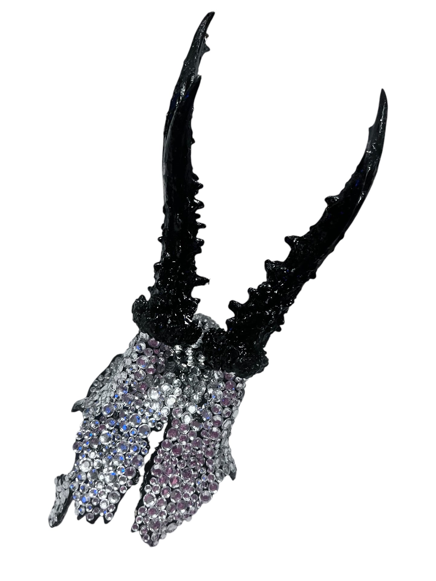 Scottish Silver Sparkle Roe Deer Skull