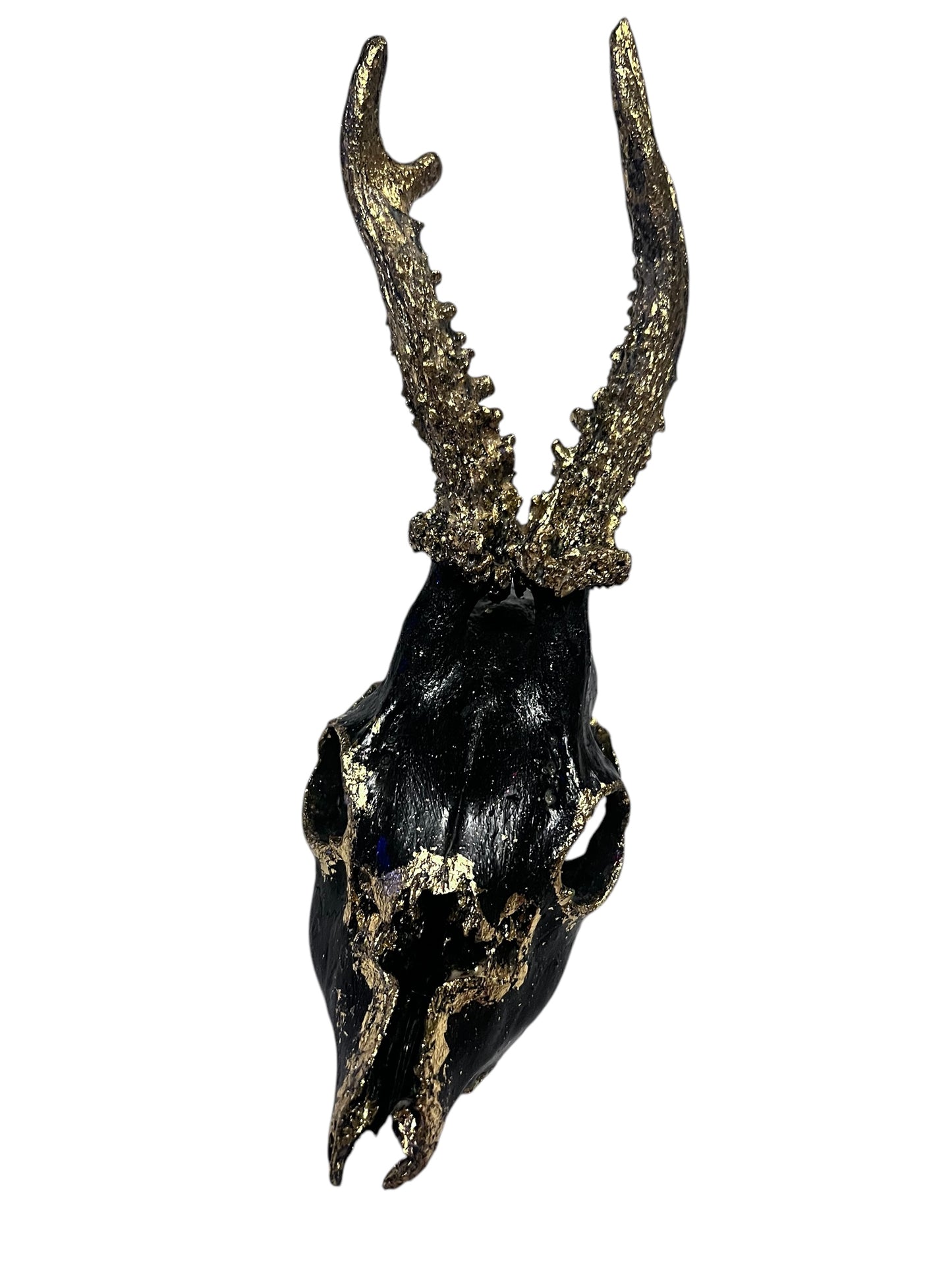 Scottish Black & Gold Deer Skull