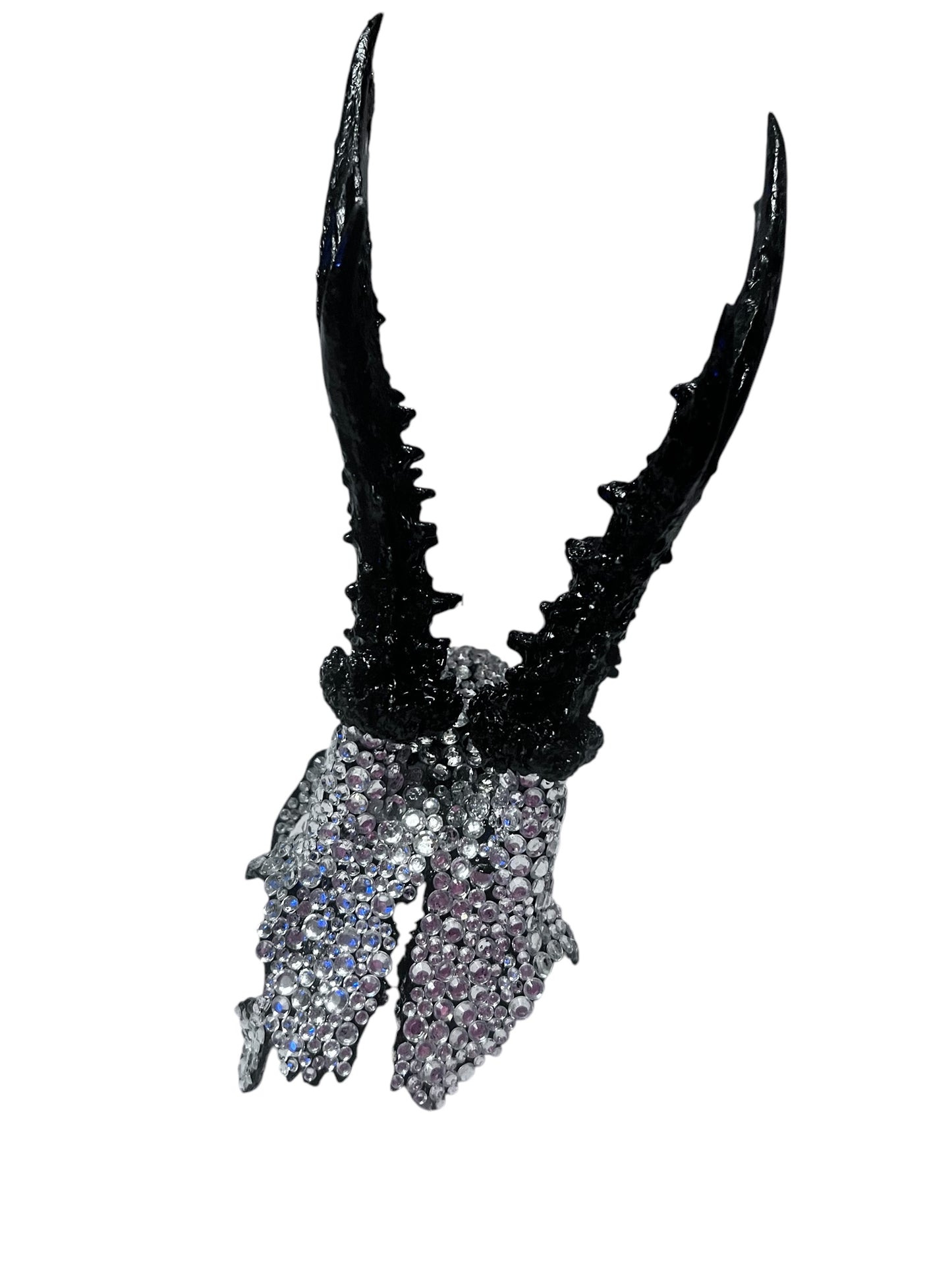 Scottish Silver Sparkle Roe Deer Skull