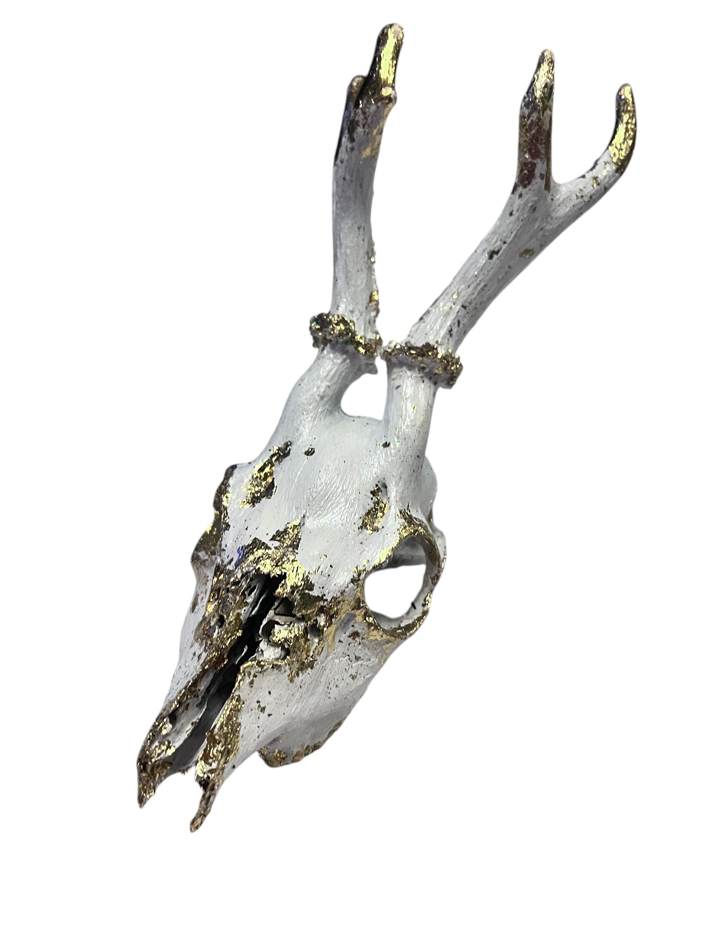Scottish White & Gold Deer Skull
