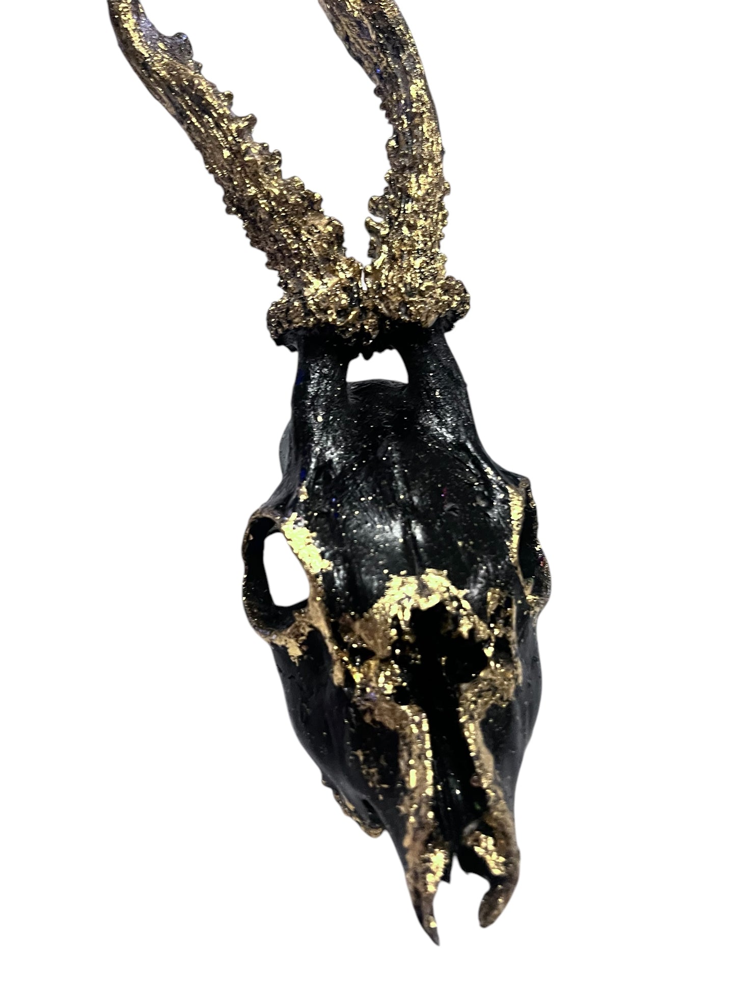 Scottish Black & Gold Deer Skull