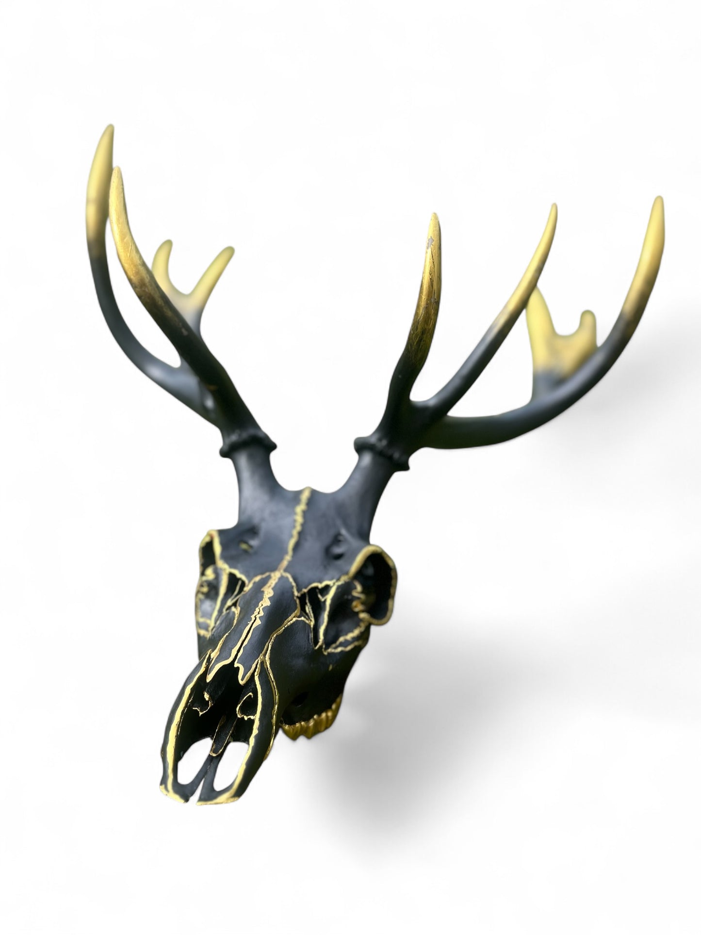 Scottish Red Stag Deer- Black & Gold