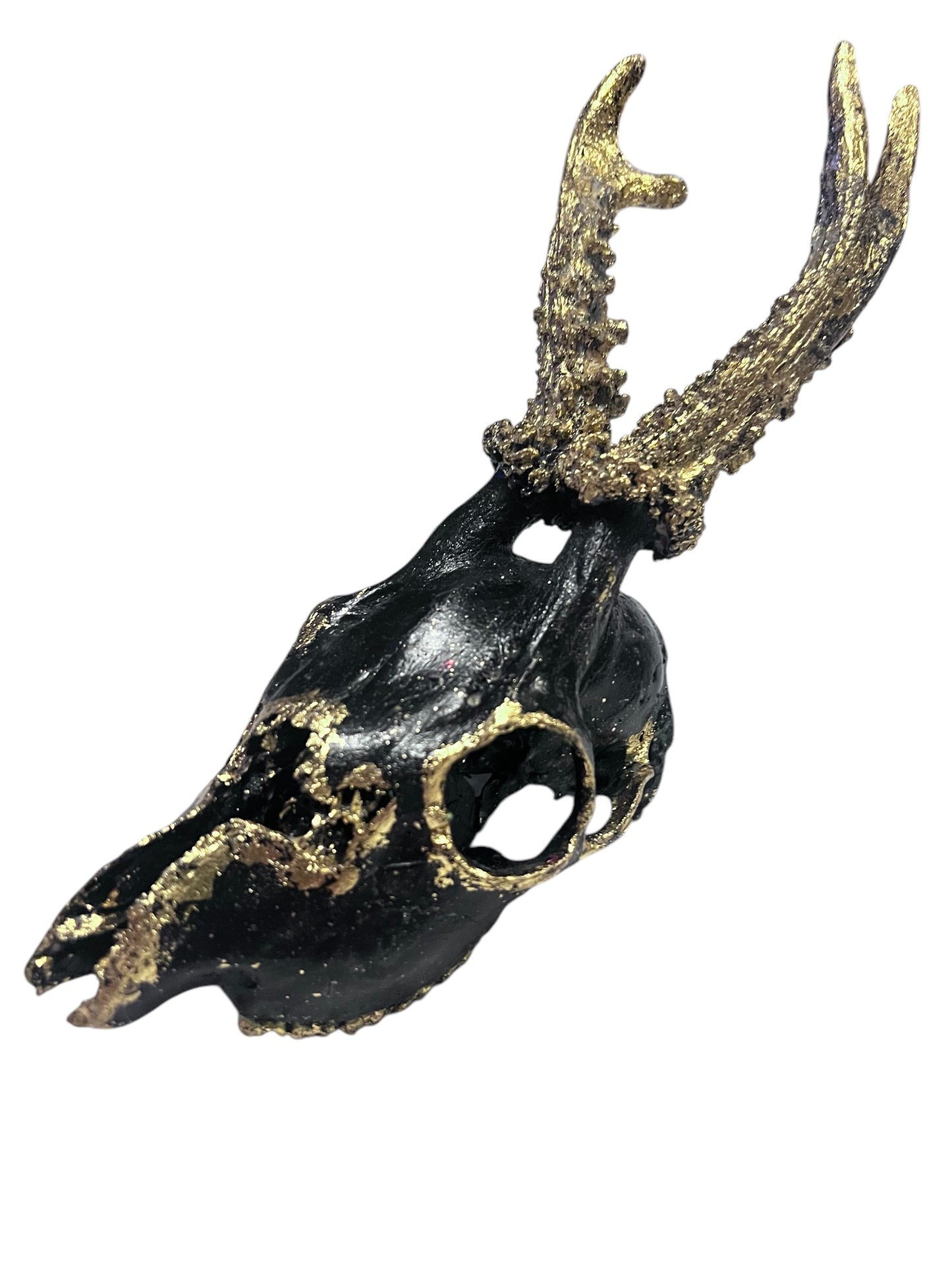Scottish Black & Gold Deer Skull