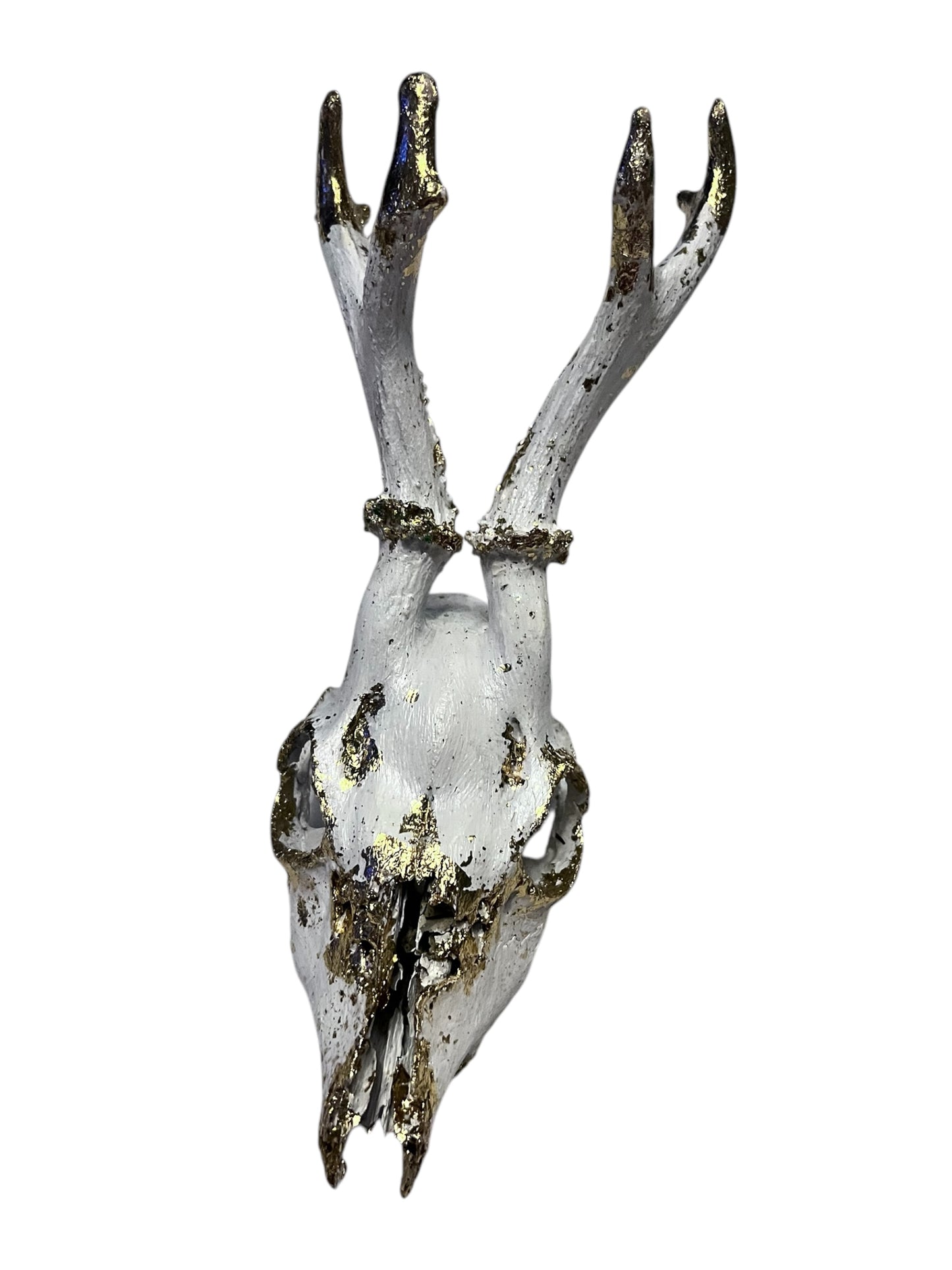Scottish White & Gold Deer Skull