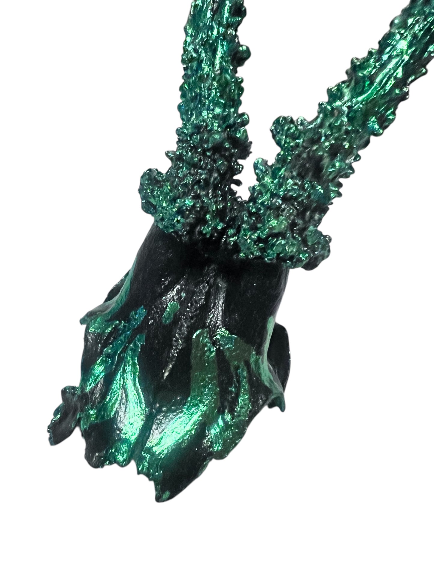 Scottish Green Flame Roe Deer Skull