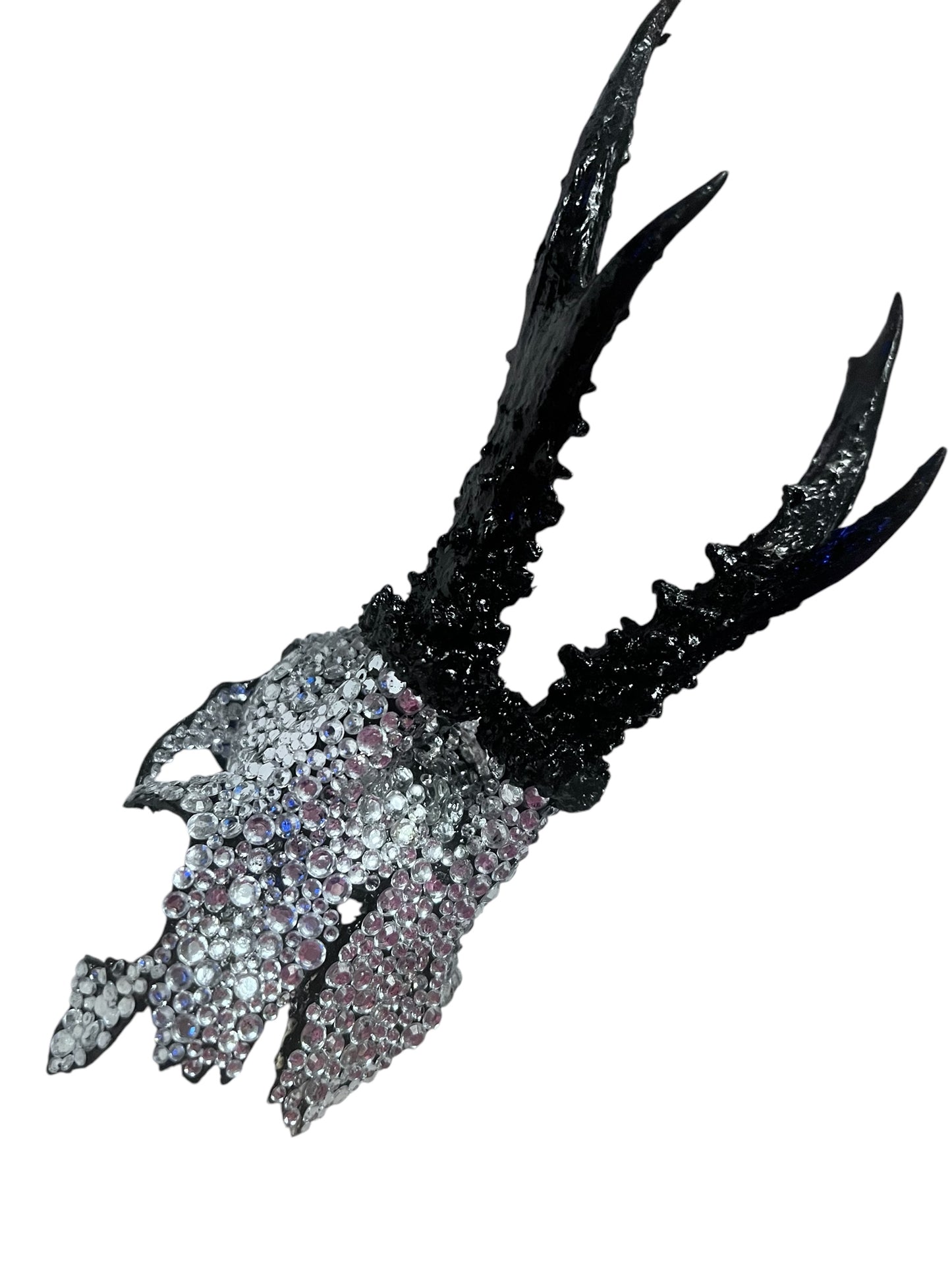Scottish Silver Sparkle Roe Deer Skull