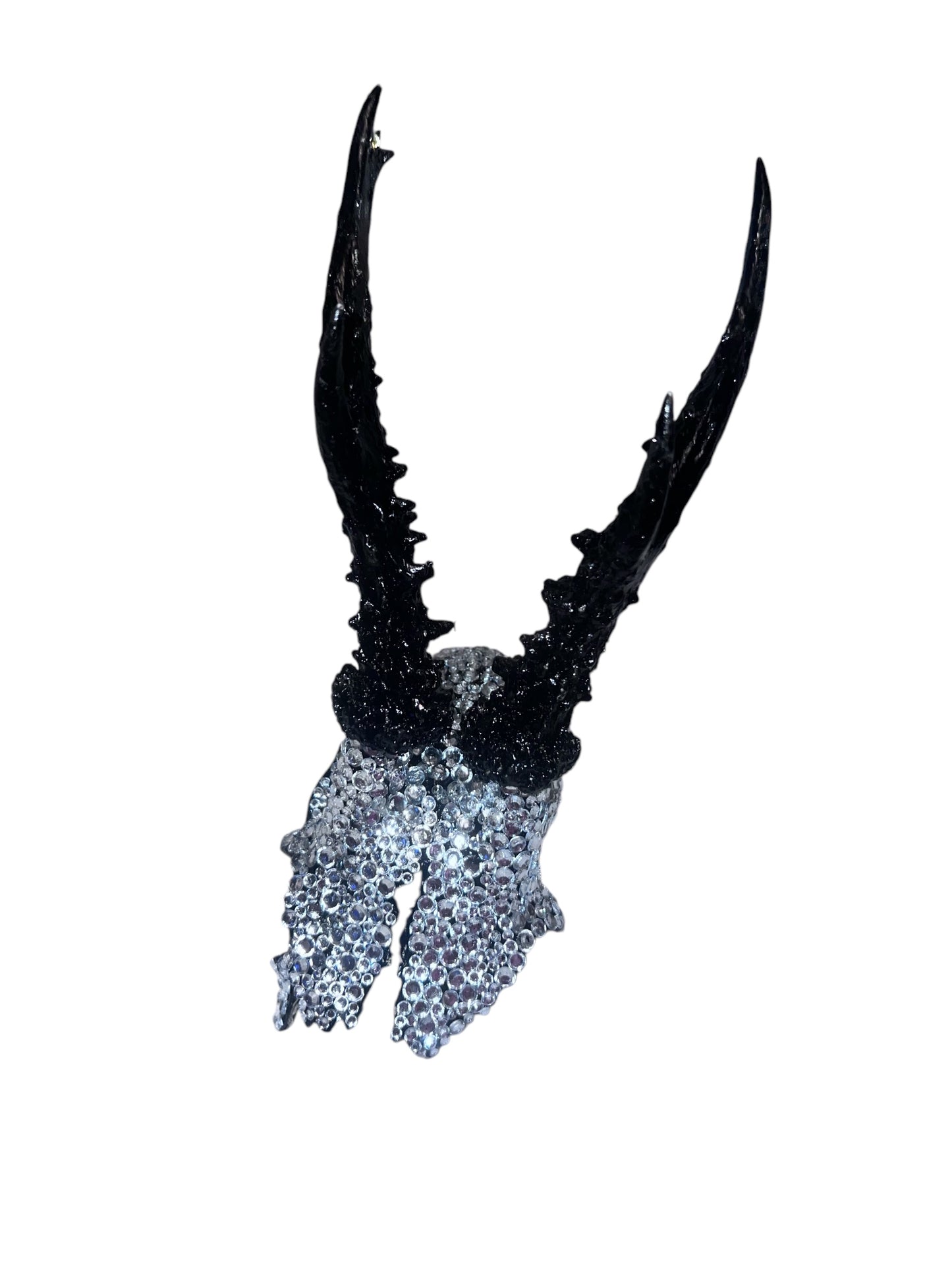 Scottish Silver Sparkle Roe Deer Skull