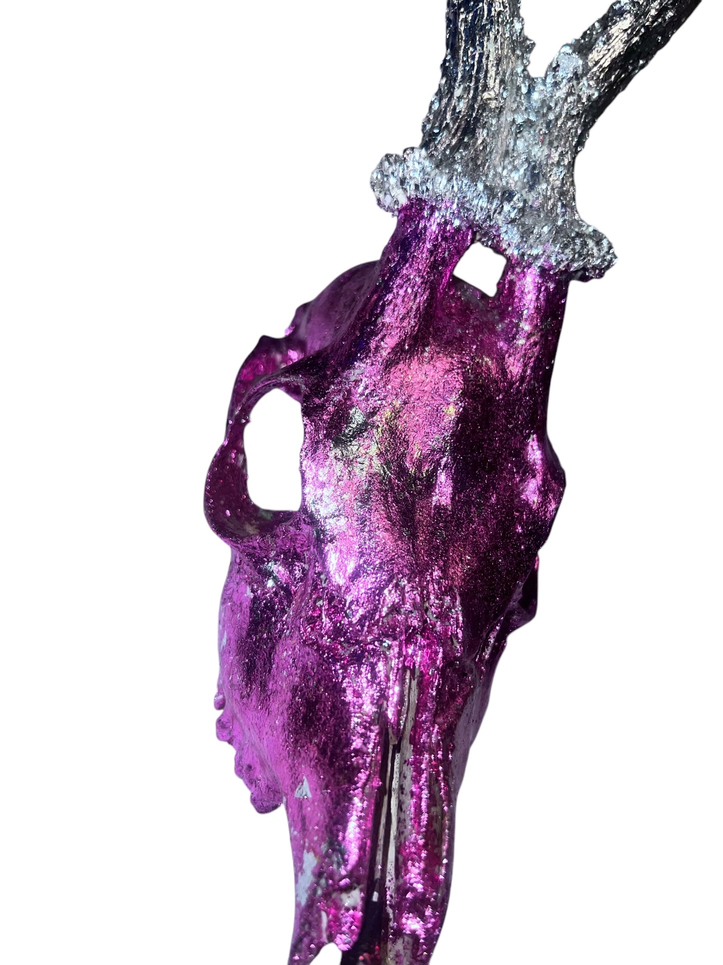 Scottish Pink & Silver Roe Deer Skull