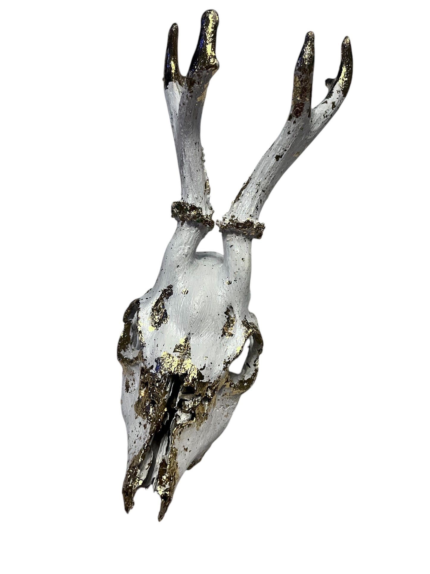 Scottish White & Gold Deer Skull