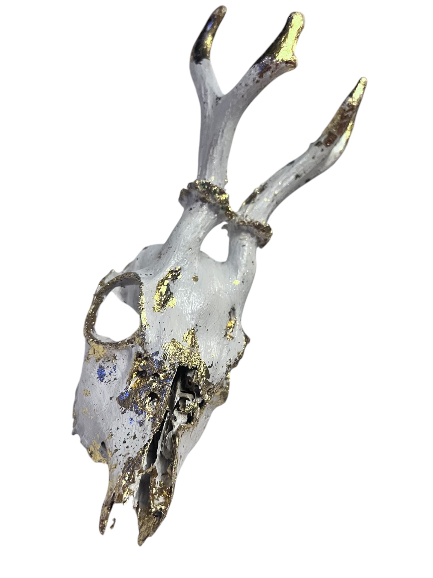 Scottish White & Gold Deer Skull