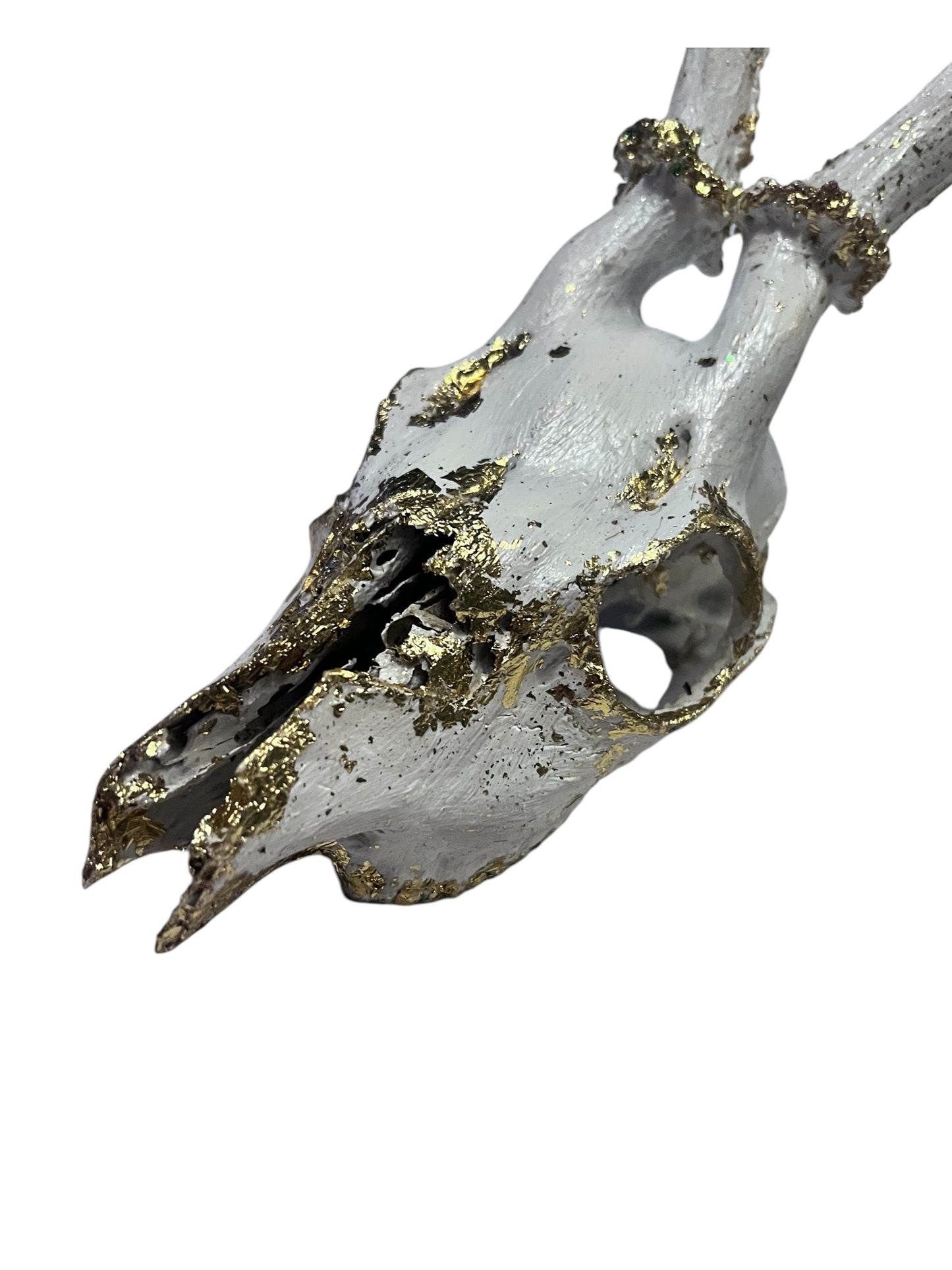 Scottish White & Gold Deer Skull