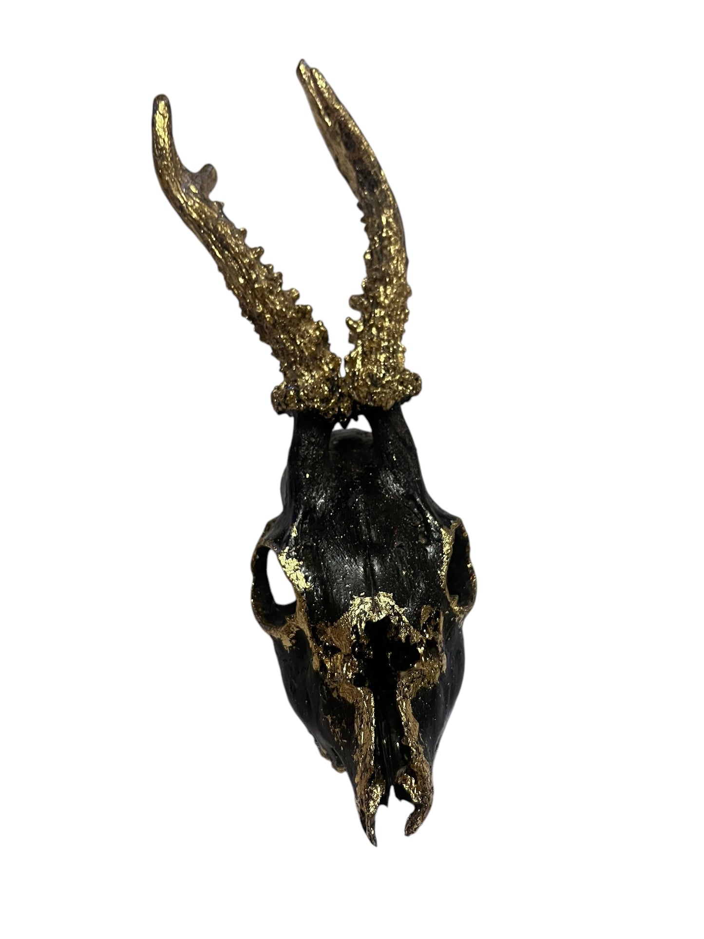 Scottish Black & Gold Deer Skull