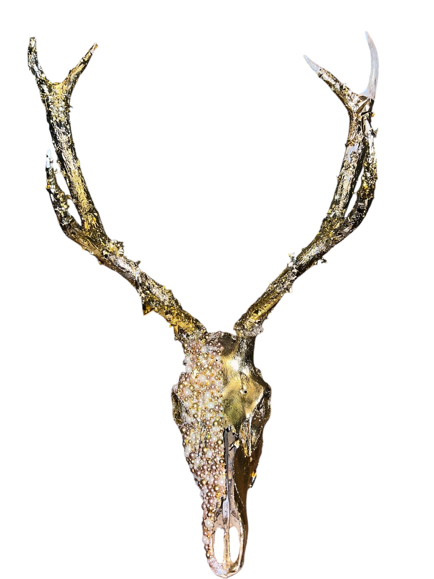 Scottish Gold Deer Skull
