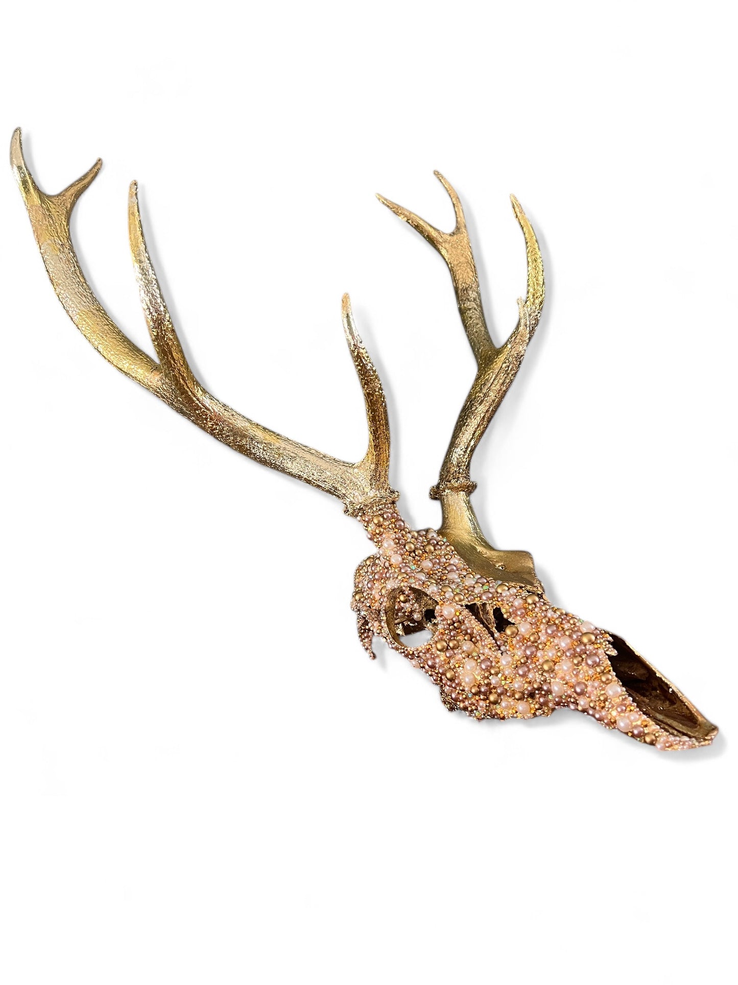 Scottish Gold Deer Skull