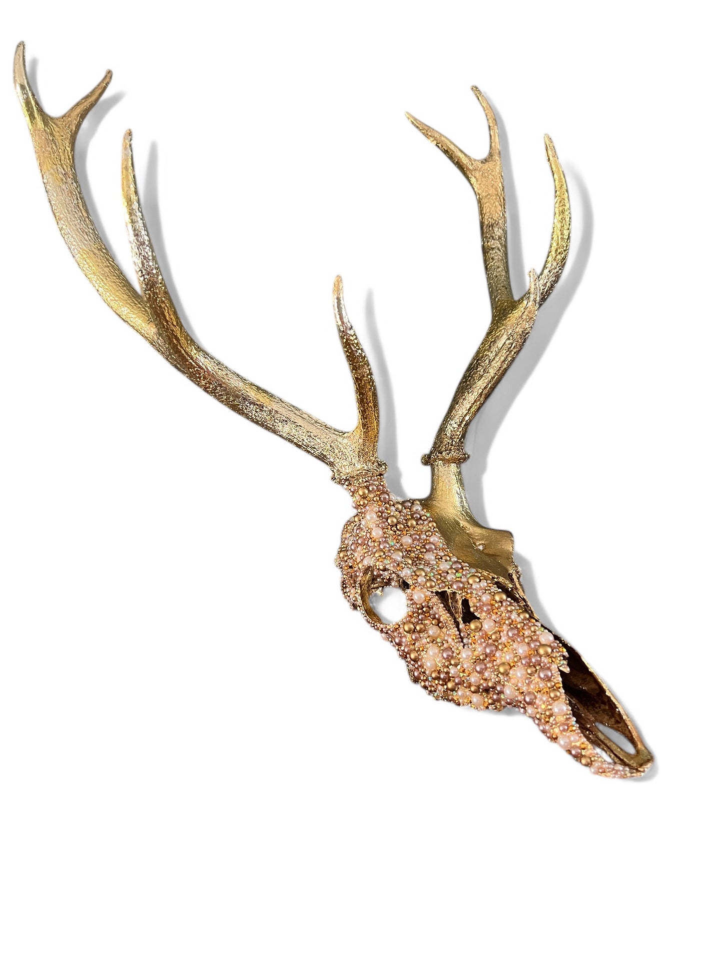 Scottish Gold Deer Skull