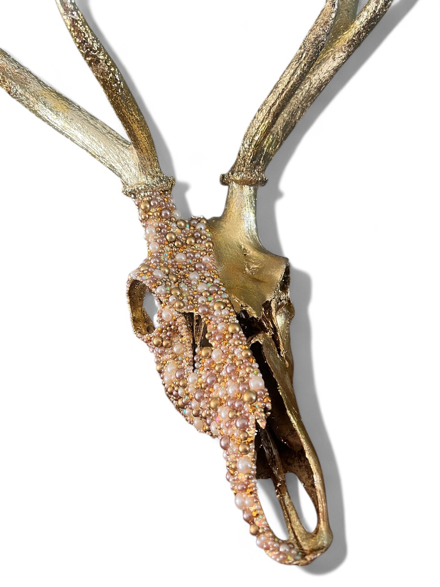 Scottish Gold Deer Skull