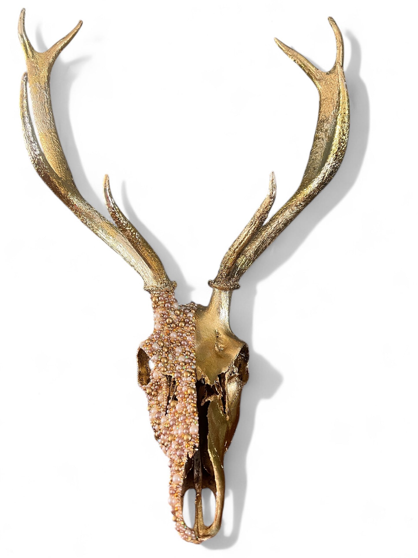 Scottish Gold Deer Skull
