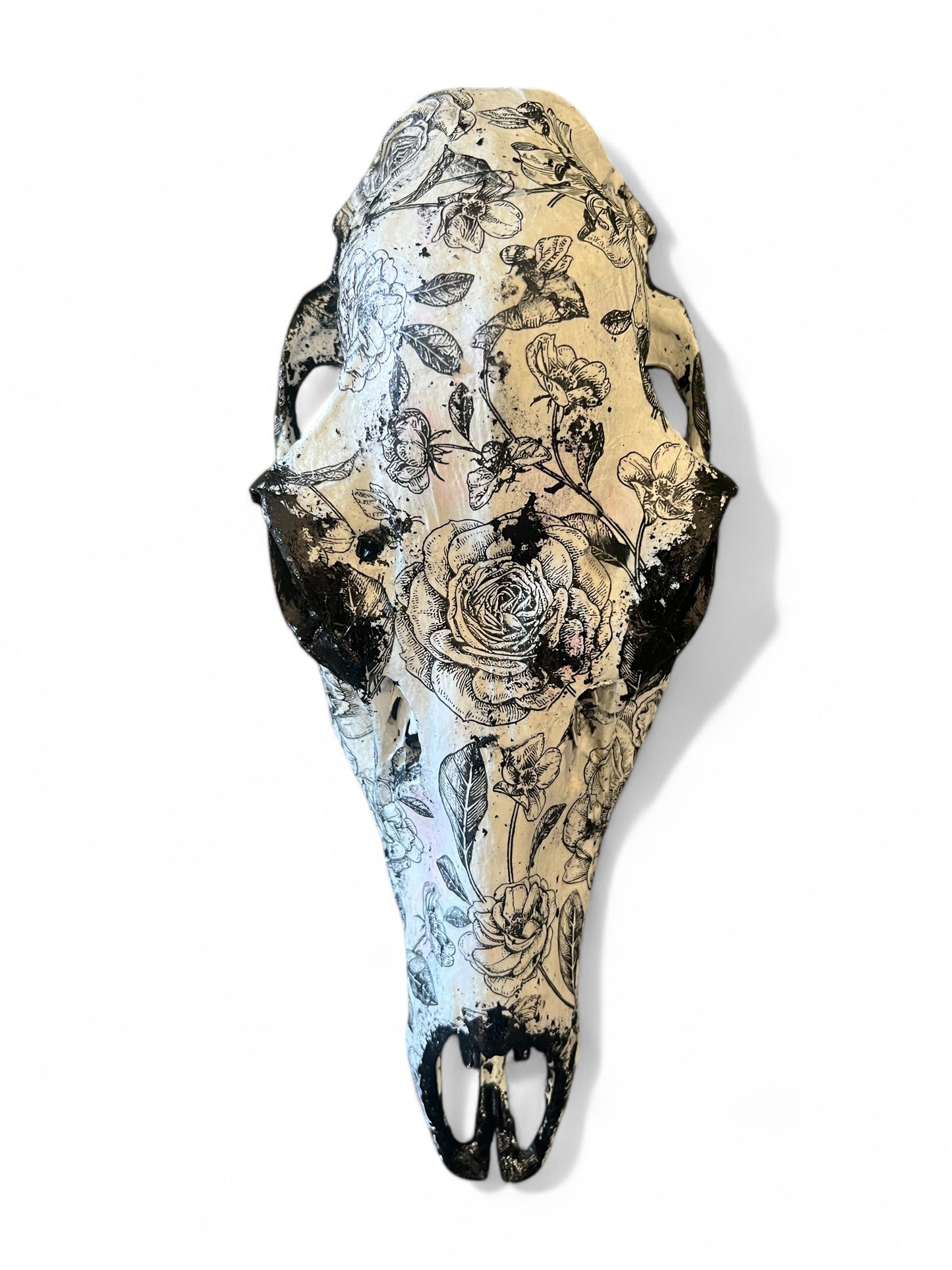 Scottish Black Rose Deer Skull