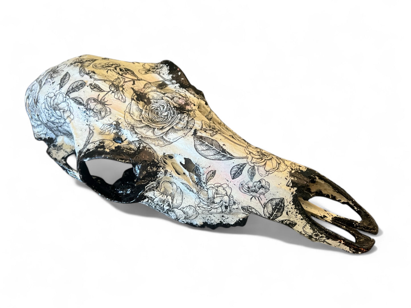 Scottish Black Rose Deer Skull