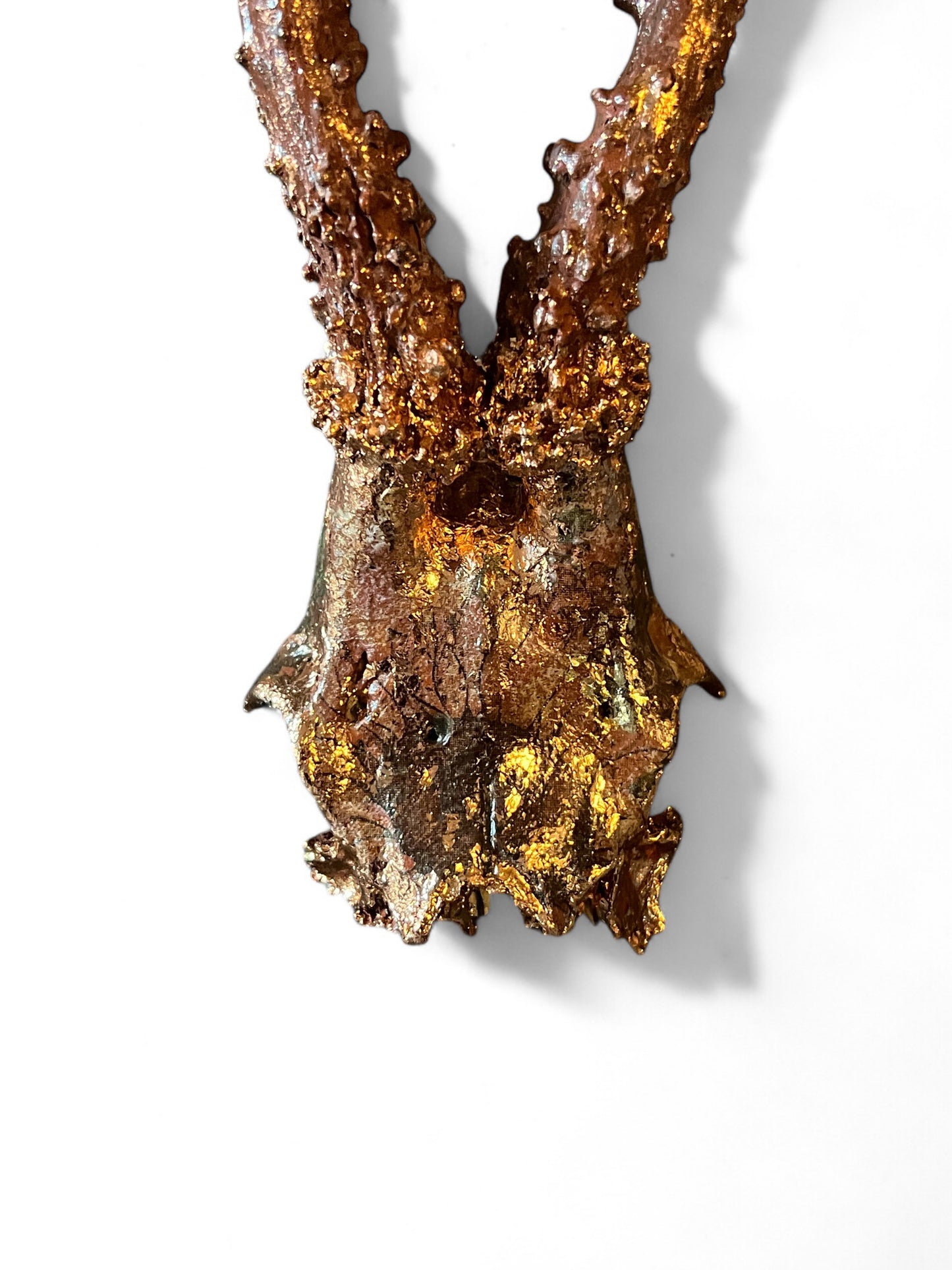 Scottish Copper Sunflower Roe Deer Skull