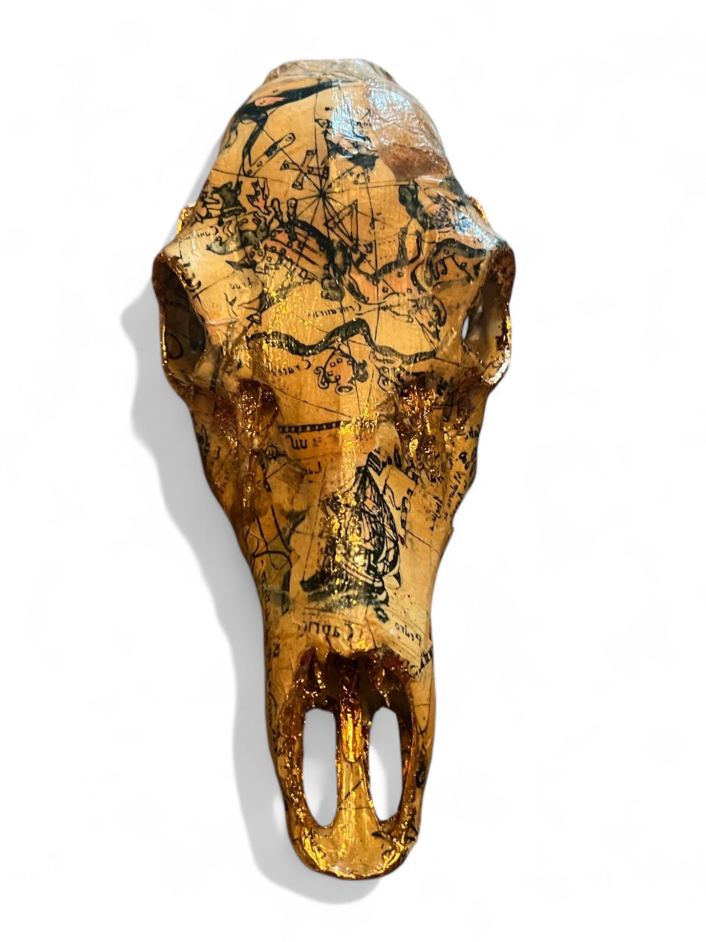 Scottish Nautical Deer Skull