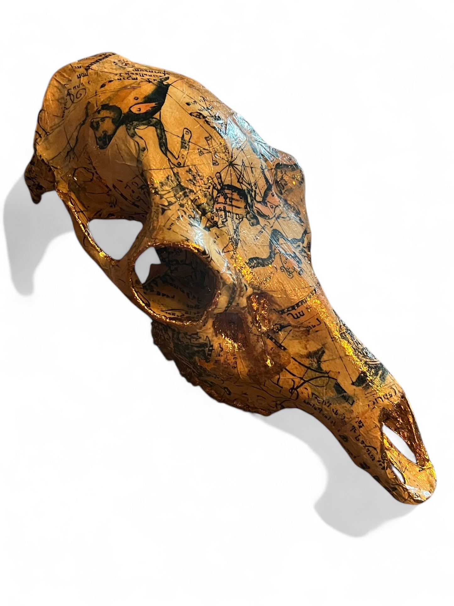 Scottish Nautical Deer Skull