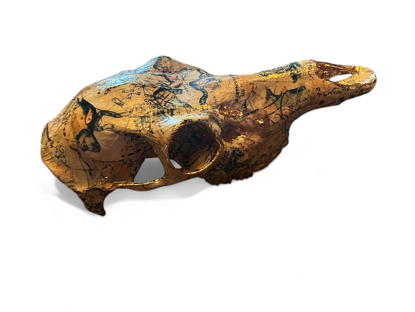 Scottish Nautical Deer Skull