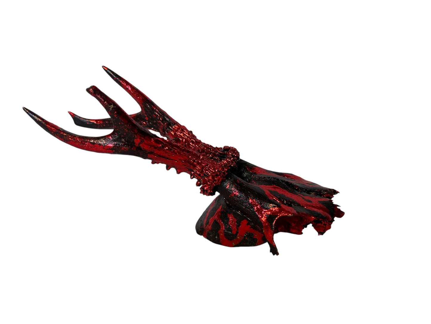 Scottish Red Flame Roe Deer Skull