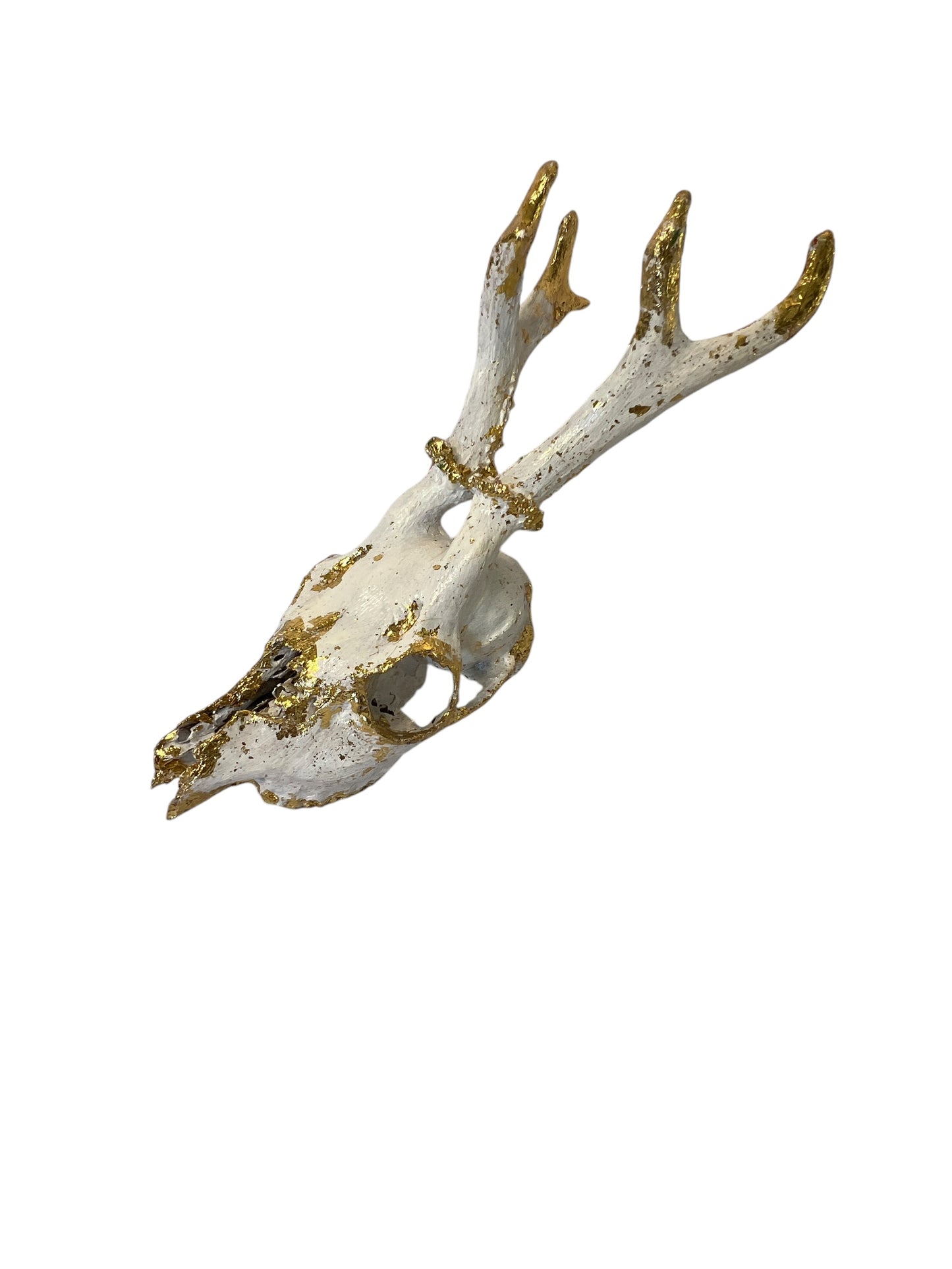 Scottish White & Gold Deer Skull