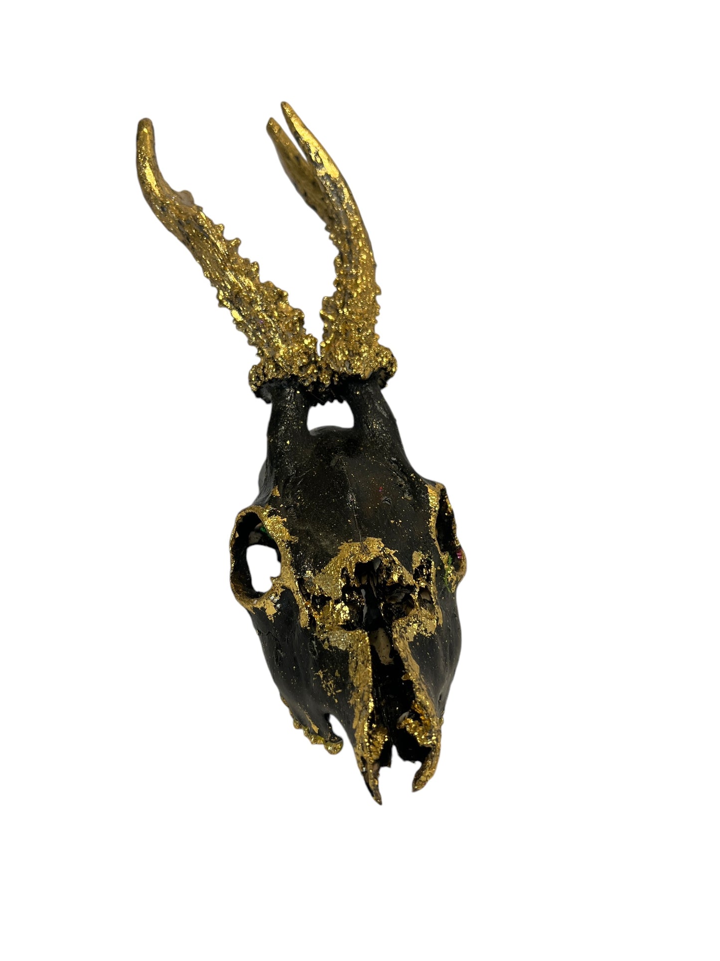 Scottish Black & Gold Deer Skull