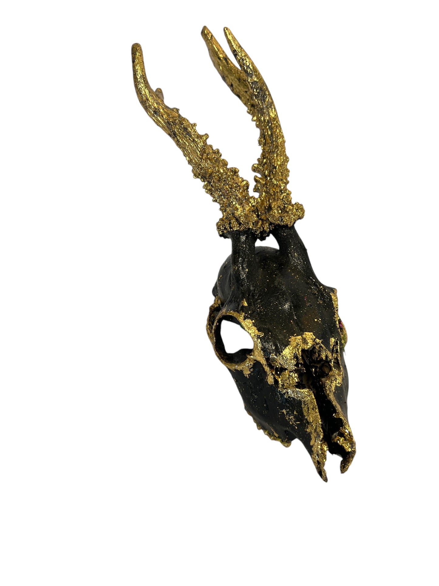 Scottish Black & Gold Deer Skull