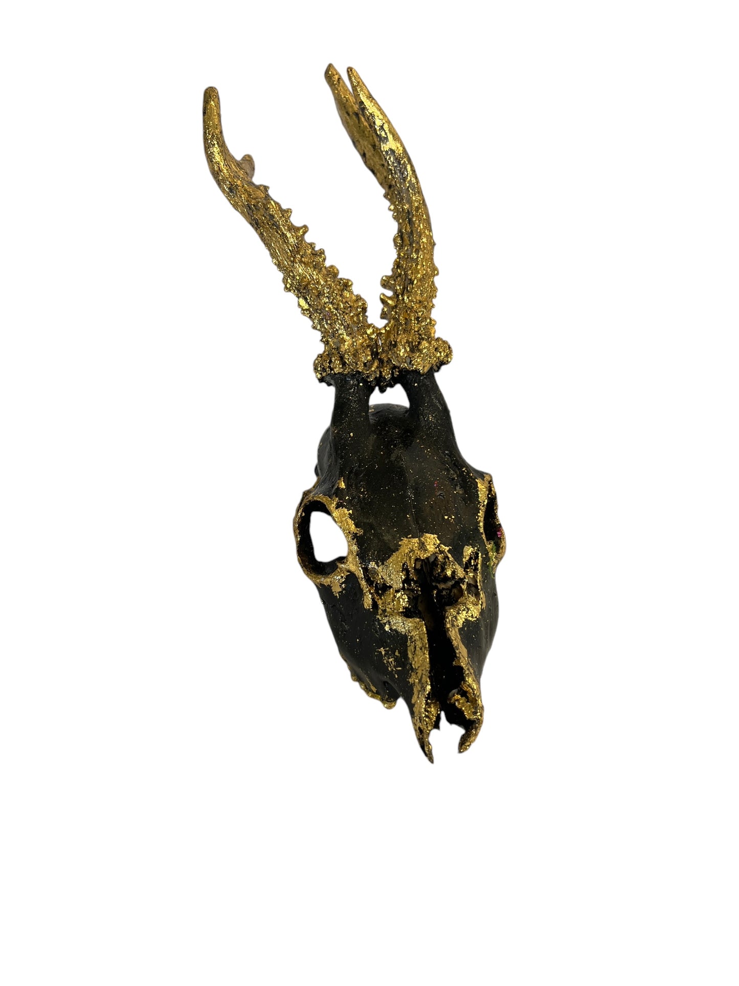 Scottish Black & Gold Deer Skull