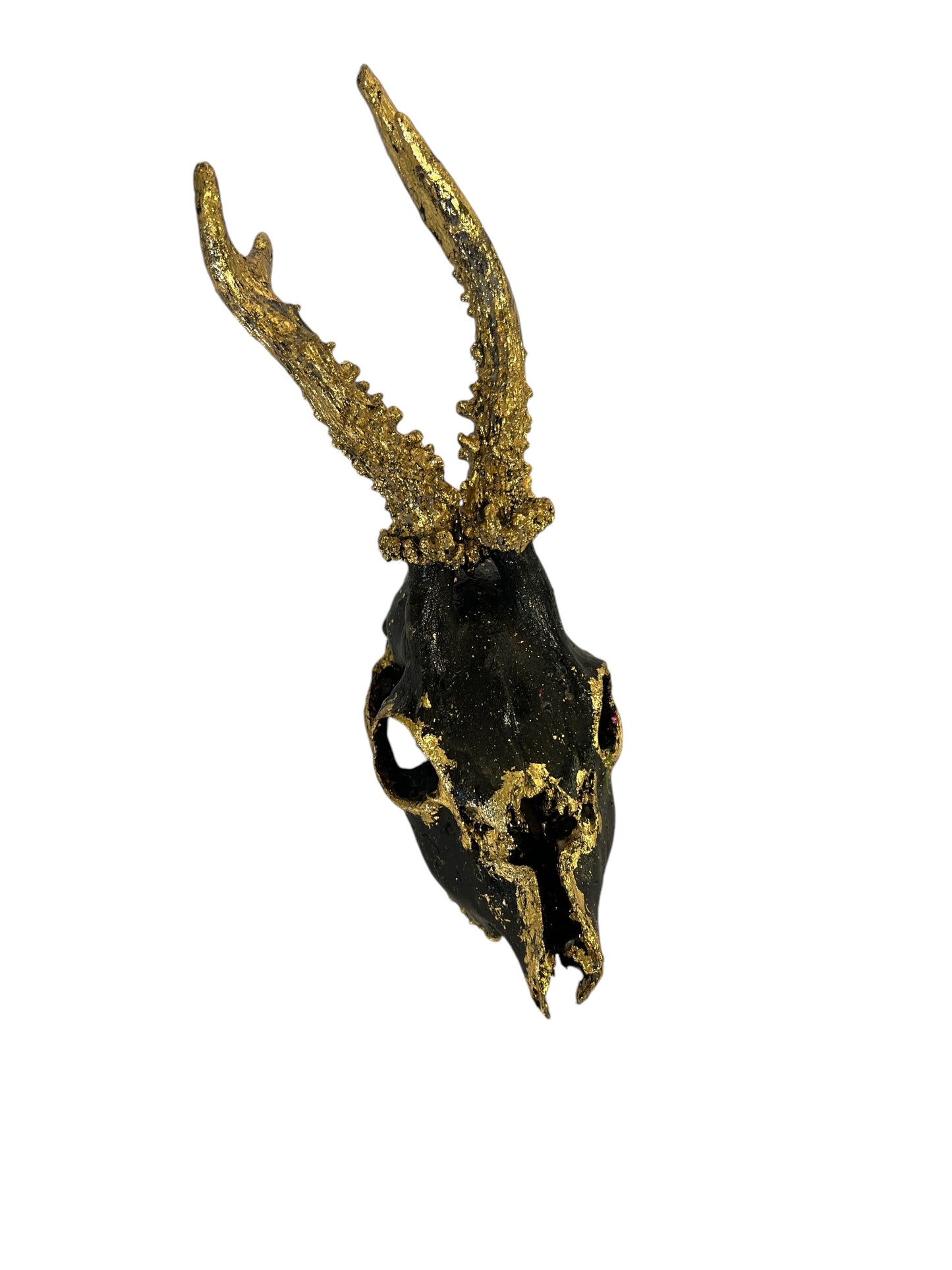 Scottish Black & Gold Deer Skull