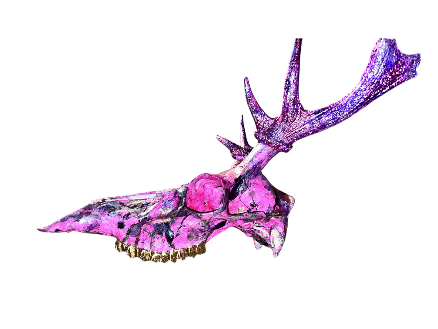 Scottish Pink Floral Deer Skull