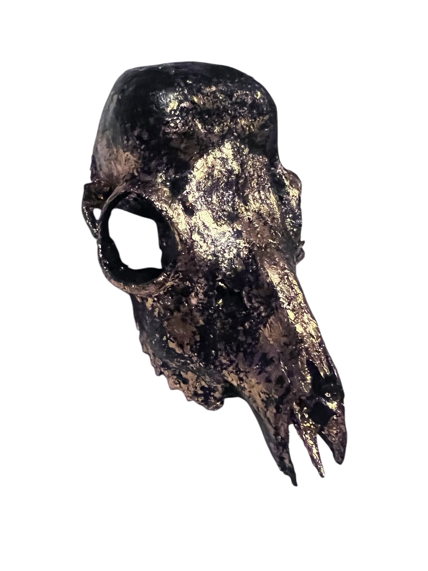 Scottish Copper & Black Roe Deer Skull