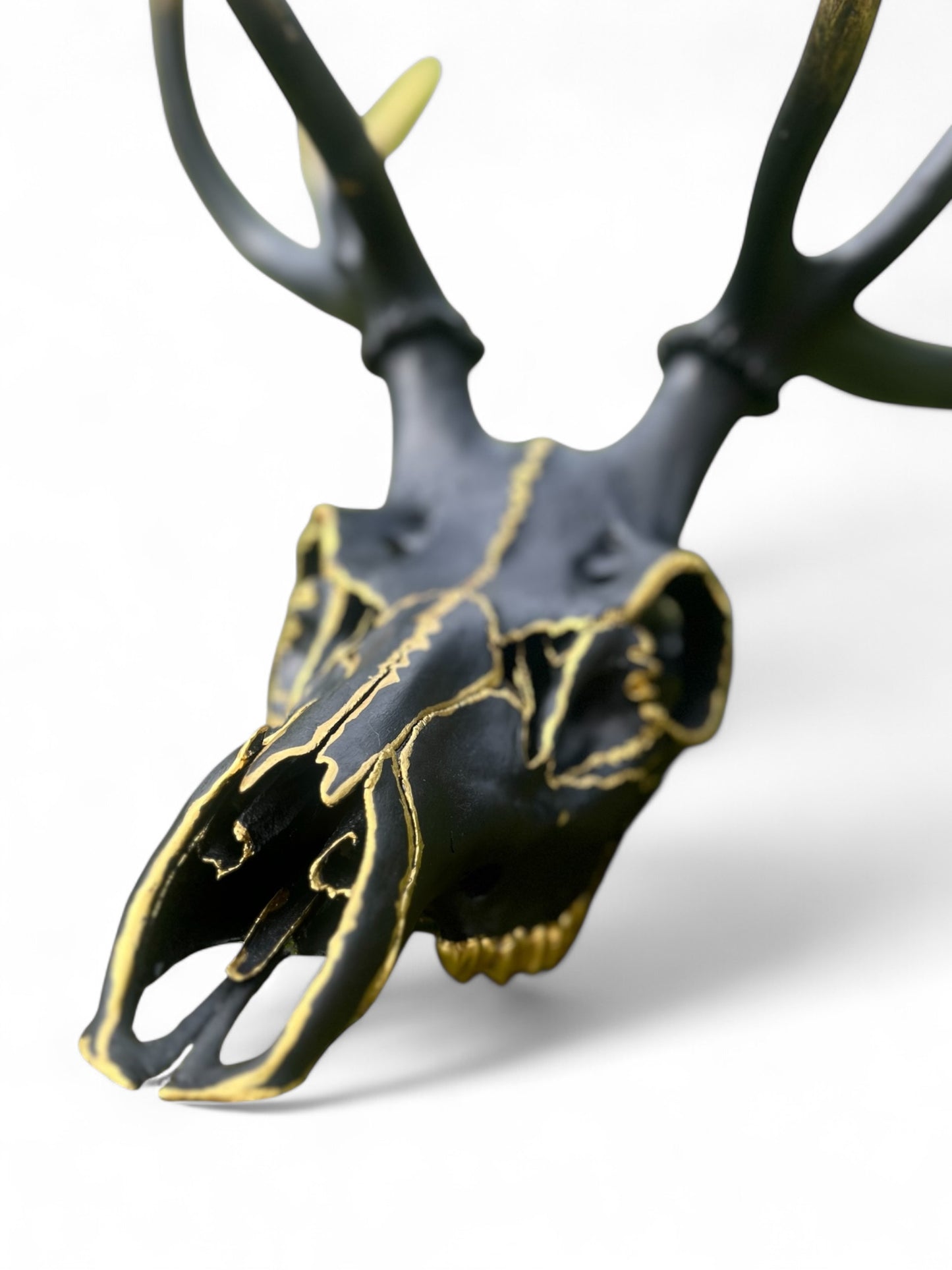Scottish Red Stag Deer- Black & Gold