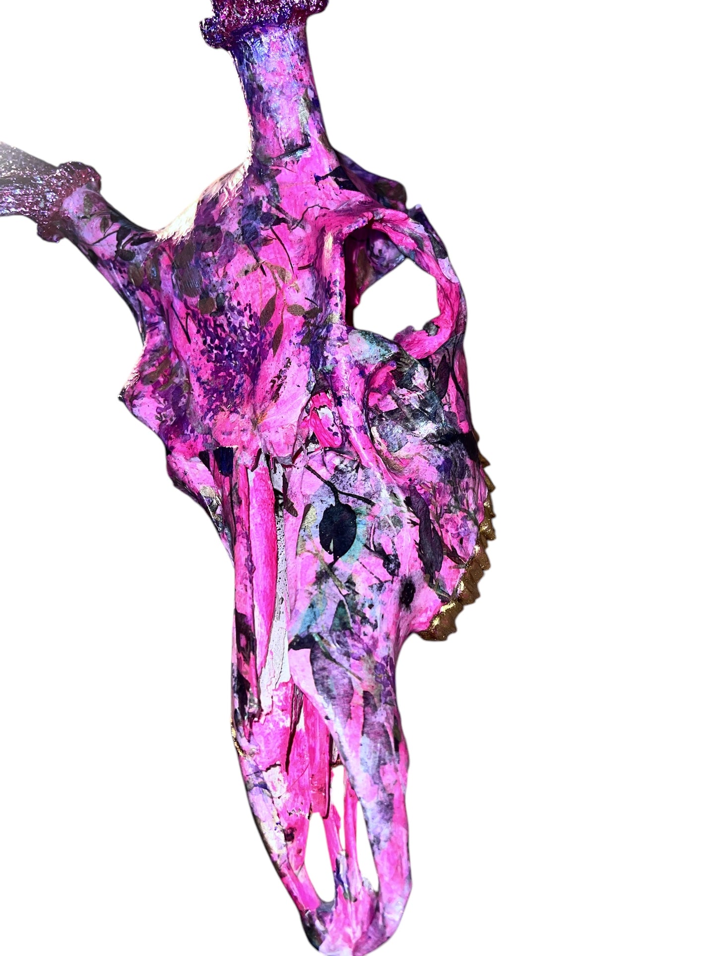 Scottish Pink Floral Deer Skull