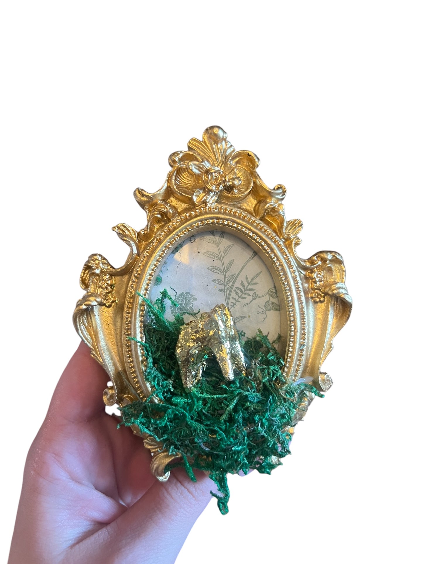 Golden Tooth Frame - green