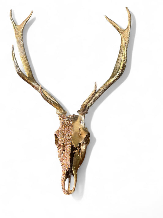 Scottish gold deer skull