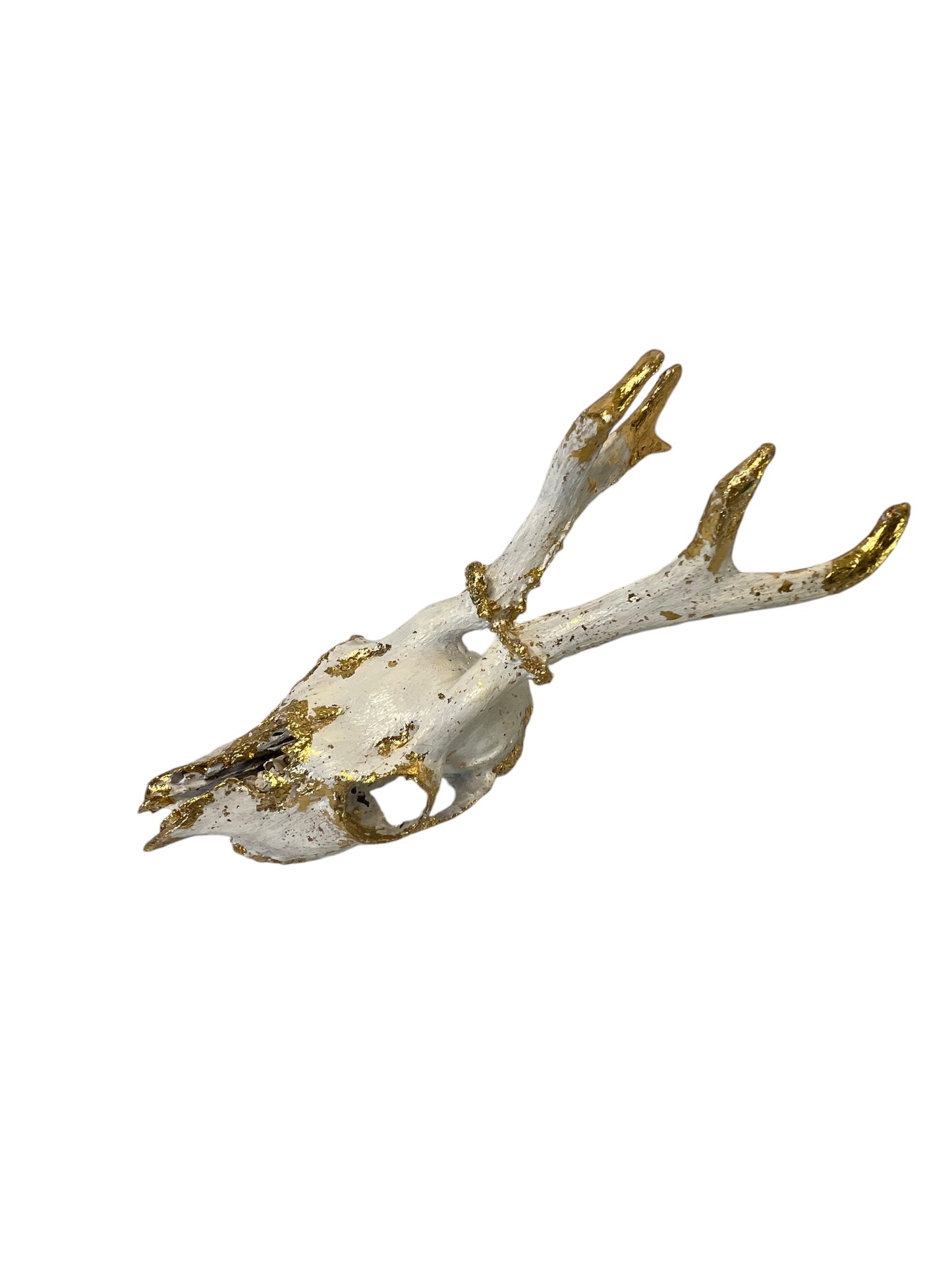 Scottish White & Gold Deer Skull