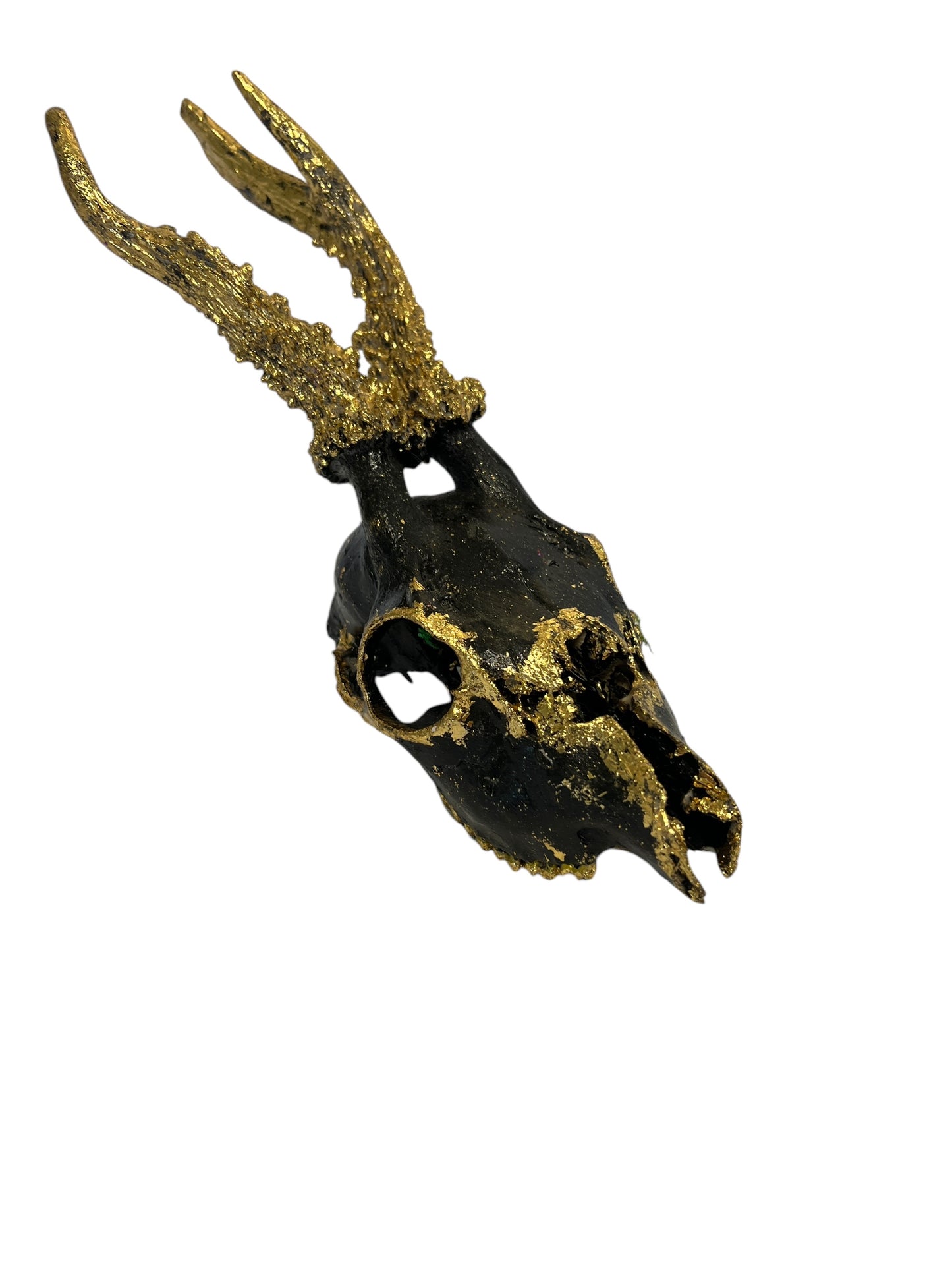 Scottish Black & Gold Deer Skull