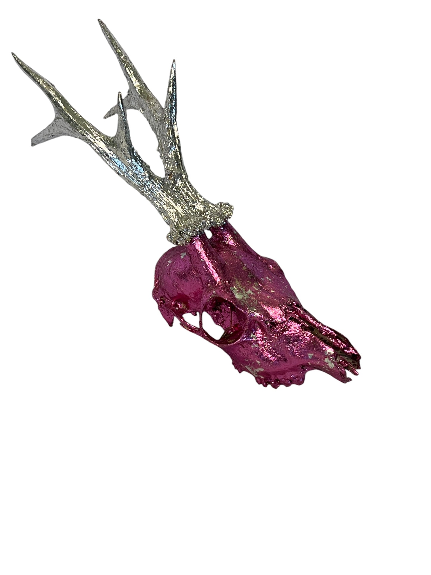 Scottish Pink & Silver Roe Deer Skull